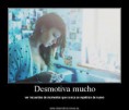 /album/fotogaleria-novedades/a1148758-404535836318905-1035103318-n-jpg/